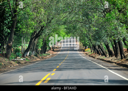 Route près de Foz do Iguacu, Parana, Brésil Banque D'Images