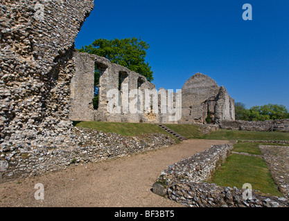 Bishops Waltham Palace ruines, Hampshire, Angleterre Banque D'Images