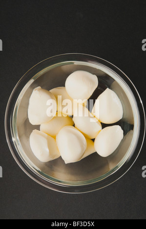 Portrait d'un bol de fromage Banque D'Images