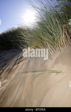 Talacre Beach dunes de sable d'Ayr Point North Wales UK Banque D'Images