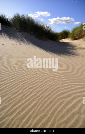 Talacre Beach dunes de sable d'Ayr Point North Wales UK Banque D'Images