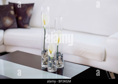 Trois vases sur une table Banque D'Images