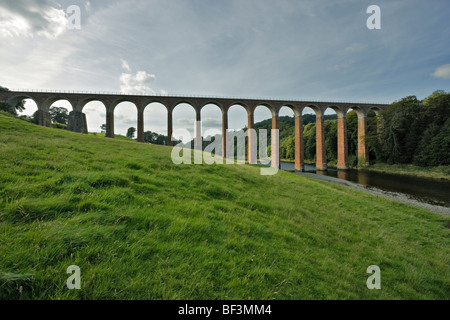 Leaderfoot viaduc, Ecosse Banque D'Images