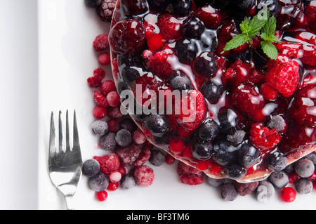 High angle view of assorted mousse berry Banque D'Images