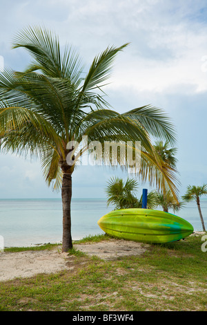 Coco Cay, Bahamas - Août 2008 - Devenir informe les passagers des navires de croisière de la légende de l'Caylana, gardien de Coco Cay Banque D'Images