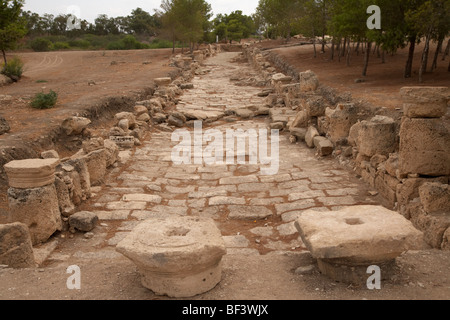 La rue à colonnade dans le site antique de Salamine famagouste République turque de Chypre-Nord rtcn Banque D'Images