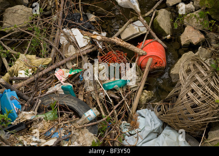 Les déchets accumulés dans le ruisseau - Yalea Lunga - à Viscri. La Transylvanie. Banque D'Images