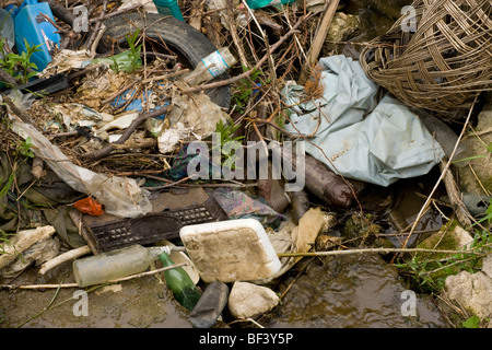 Les déchets accumulés dans le ruisseau - Yalea Lunga - à Viscri. La Transylvanie. Banque D'Images