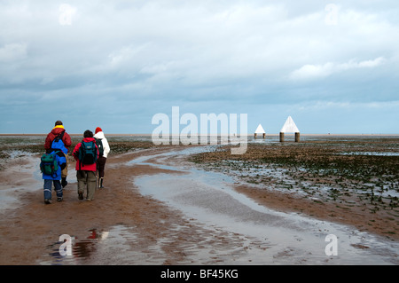 Les phoques mettent bas au Donna Nook RAF près de Grimsby Banque D'Images