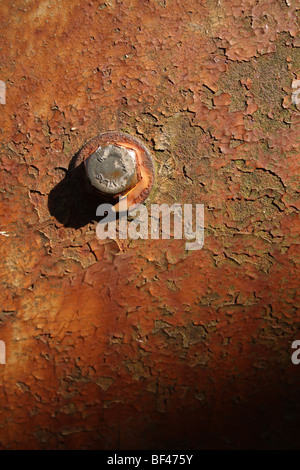 Close-up de tête de vis hexagonale en acier rouillé sur l'écaillage de la garde-boue / garde-boue sur vieux tracteur Massey Ferguson à Scorton, Lancashire, Royaume-Uni. Banque D'Images