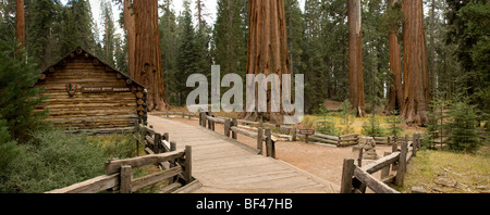 Musée à Mariposa Grove dans le parc national de Yosemite Banque D'Images