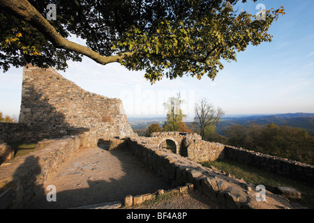 Lion's Castle, ruines de murs, des Siebengebirge, Nordrhein-Westfalen, Germany, Europe Banque D'Images