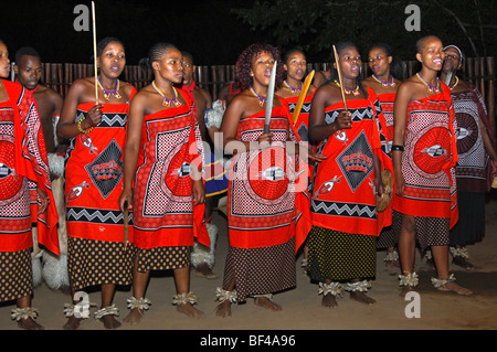 La troupe de danse des femmes en costume traditionnel lors d'une soirée événement, centre culturel traditionnel Mantenga, Ezulwini, Swaziland, Vallée Banque D'Images