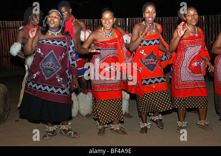 La troupe de danse des femmes en costume traditionnel lors d'une soirée événement, centre culturel traditionnel Mantenga, Ezulwini, Swaziland, Vallée Banque D'Images