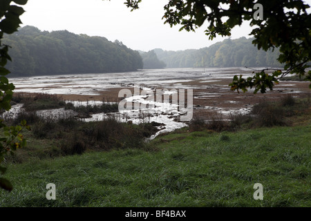 Près de l'estuaire de la rivière Odet Plomelin - Finistère - Bretagne - France Banque D'Images