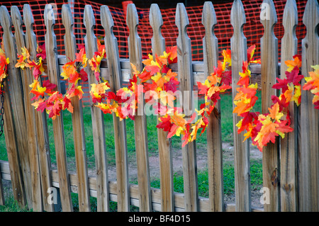 Décorées clôture avec les feuilles d'automne Banque D'Images