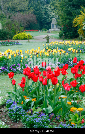 Ressorts traditionnels avec Tulipa, Giroflées et Myosotis à Wellington Park, Somerset Banque D'Images