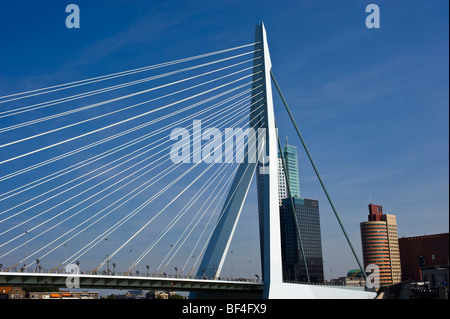 Le Pont Erasmus, Rotterdam, Hollande du Sud, Hollande, Pays-Bas, Europe Banque D'Images