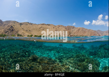 Duplex photo du Parc National de Komodo et de récifs coralliens dans le Parc National de Komodo, Indonésie Banque D'Images