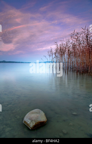 L'humeur du soir au Lac de Constance sur la rive allemande à Dingelsdorf, Germany, Europe Banque D'Images