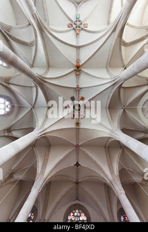 Plafond voûté avec blason, St George's Cathedral dans le château, Wiener Neustadt, Basse Autriche, Autriche, Europe Banque D'Images