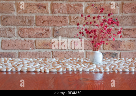 Fleurs rouges séchés dans vase blanc sur blanc cailloux avec mur de brique lavée à l'acide Banque D'Images