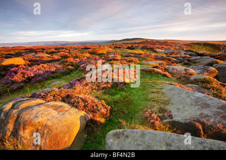 Higger Tor rocks illuminée par la lumière de l'été chaud l'aube dans le parc national de Peak District Banque D'Images