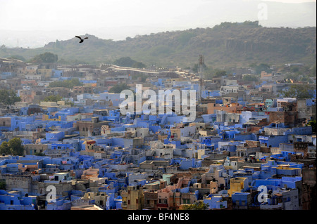 Avis de Jodhpur du Fort Mehrangarh, "la ville bleue", Rajasthan, Inde du Nord, Inde, Asie du Sud, Asie Banque D'Images