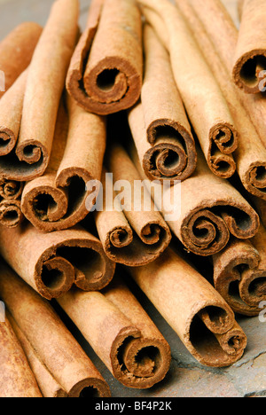 Les couvercles de la cannelle. Cinnamomum zeylanicum. Banque D'Images