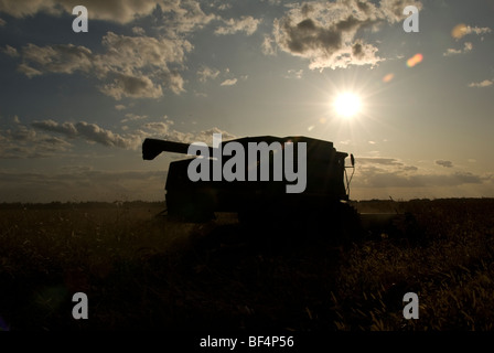 Une moissonneuse-batteuse la récolte d'un domaine Banque D'Images