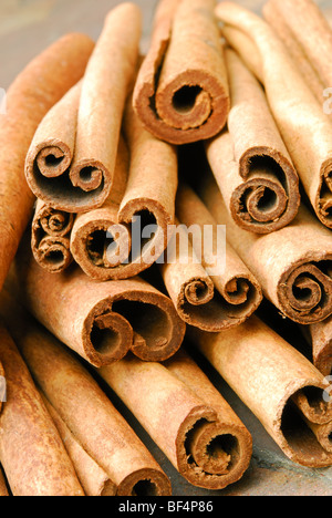 Les couvercles de la cannelle. Cinnamomum zeylanicum. Banque D'Images