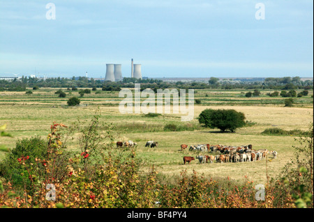 Vue de Fowlmead Country Park, Sholden, Kent, à l'extérieur, vers l'ancienne centrale électrique et Richborough Appartements Sandwich. Banque D'Images