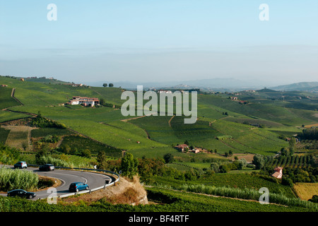 La route panoramique de la Morra de Barolo. Langhe, Piémont, Italie. Banque D'Images