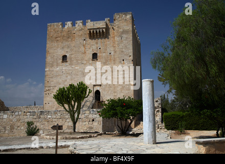 Château de colosse et pilier république de Chypre Banque D'Images