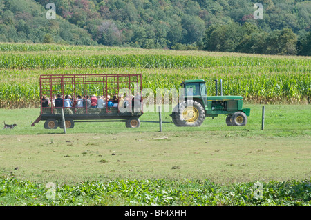 Le Maryland's Best Cove Run Farm agritourisme opération -Labyrinthe de maïs, le comté de Garrett, MD Banque D'Images