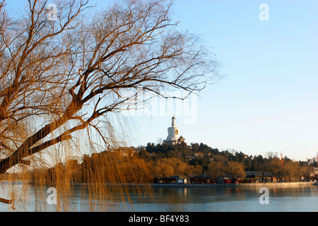 Vue à travers l'automne vers Beihai Dagoba blanc, le parc Beihai, Beijing, Chine Banque D'Images