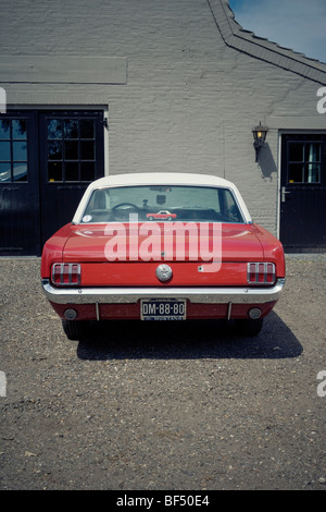 Ford Mustang Banque D'Images