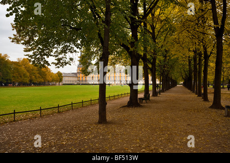 Voir à travers un beech sertis à l'avenue Kurfürstliches Schloss (château du prince électoral) à cour Hofgarten (jardin) , Bonn Banque D'Images