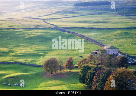 Couleurs d'automne en Littondale entre Arncliffe et Malham dans le Yorkshire Dales National Park Banque D'Images