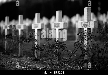 Marquage traverse les tombes de soldats français dans le cimetière militaire de l'Ossuaire de Douaumont près de Verdun en France Banque D'Images