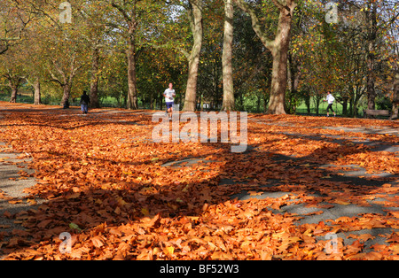 L'automne à Finsbury Park, Londres, UK. Banque D'Images