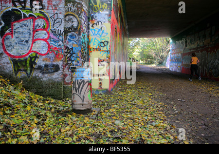 Graffiti sur le pont avec le parc à pied près de Crouch End, Londres. Banque D'Images