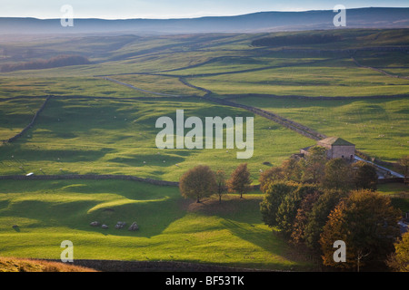 Couleurs d'automne en Littondale entre Arncliffe et Malham dans le Yorkshire Dales National Park Banque D'Images