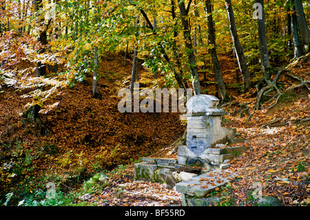 Fontaine antique dans la forêt d'automne Banque D'Images