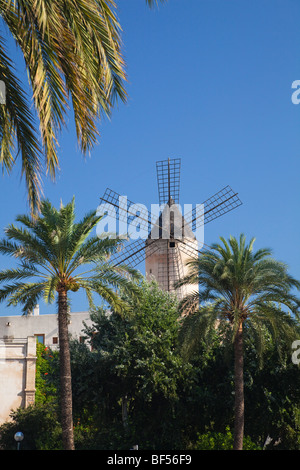 Moulin à vent historique de es Jonquet à Palma de Majorque, Mallorca, Majorque, Îles Baléares, Mer Méditerranée, Espagne, Europe Banque D'Images