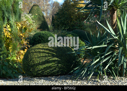 Clippé Yew hedge faisant partie d'un jardin topiaire à Adel près de Leeds UK Angleterre Banque D'Images