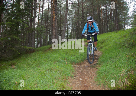 Mountain bike rider sur piste unique dans la forêt près de San Vigilio, naturpark-fanes sennes-Prags, le Trentin, le Tyrol du sud, Italie, Banque D'Images