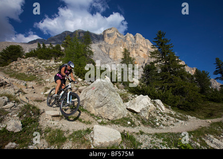 Vélo tout terrain sur un seul sentier au Mt. Kreuzkofel, Parc naturel Fanes-Sennes-Prags, Trentin, Tyrol du Sud, Italie, Europe Banque D'Images