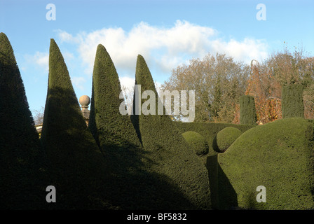 Clippé Yew et fort topiary faisant partie d'un jardin à Adel près de Leeds England UK Banque D'Images