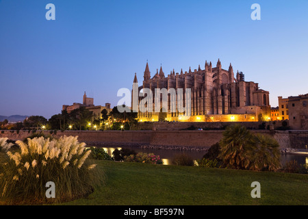 Cathédrale La Seu à Palma de Majorque et Parc de la Mar à l'aube, Mallorca, Majorque, Îles Baléares, Mer Méditerranée, Espagne Banque D'Images